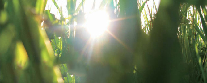 CSR/���E�Љ�� - ��炵�ɂ₳�������i���A�Љ�ɂ����ɂ��₳�������邽�߂ɁB�������́A�͂��߂Ă��܂��B