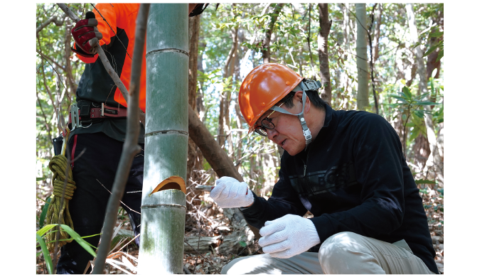 �|���̂̎w�����󂯂鏬��i��\������В��j