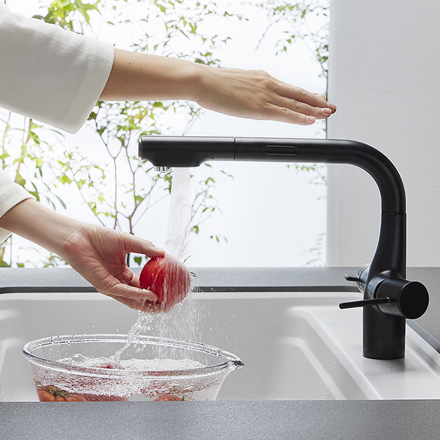 [ �摜 ] ���������������x����@��