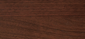 ���A���I�[�N