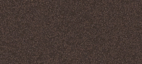 �o�[�X�g�u���E��