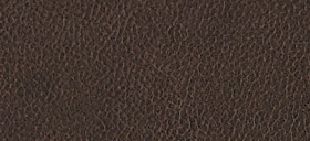 �_�[�N���U�[