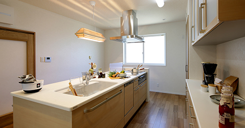 �������y���ރA�C�����h�L�b�`��