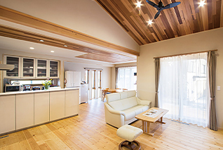 �y���C�̉Ƒ���z�؂̌��𐶂��������K�ȋ��