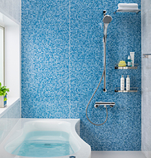 �g�N���X�o�X���[�� �G�u���B �V�����[�^�C�v