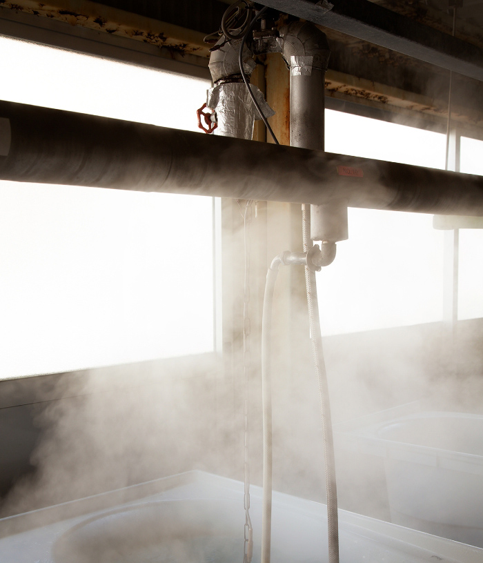 DEVELOPMENT & QUALITY�F�ʐ^